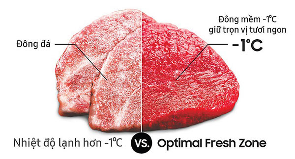 Ngăn cấp đông mềm Optimal Fresh Zone trên tủ lạnh Samsung